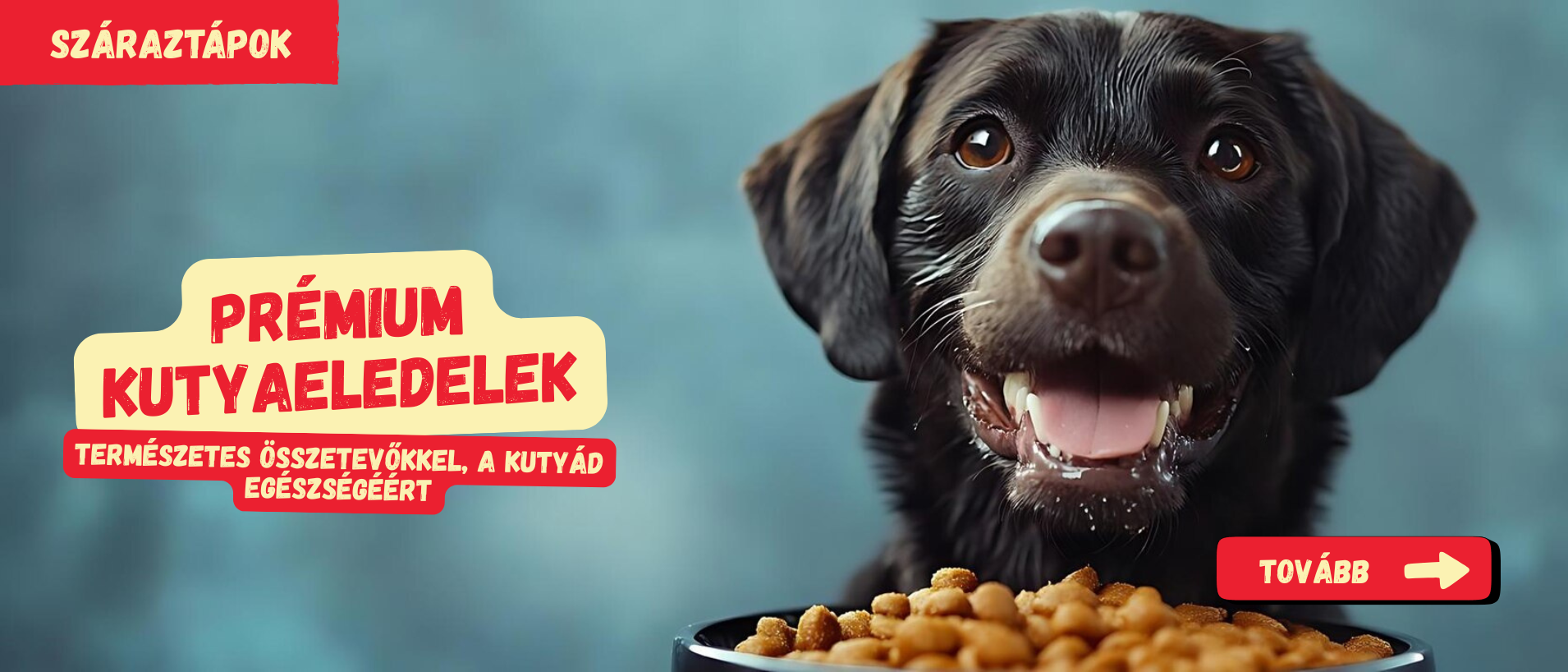 száraztápok