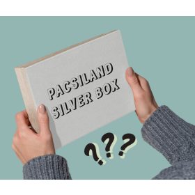 PacsiLand Silver Box 